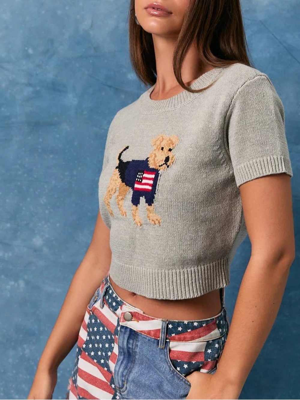 Le Lis Light Gray Cropped Knit PATRIOTIC PUPPY SWEATER Top with Dog - Picture 2 of 6